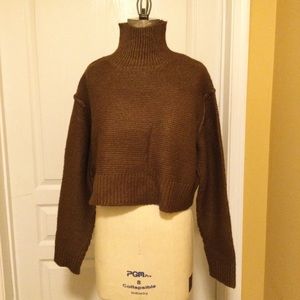 Cropped Turtleneck Sweater